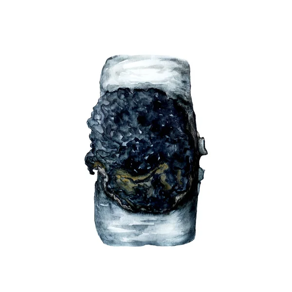 Акварельная Иллюстрация Грибов Чага — стоковое фото