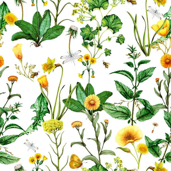 Watercolor seamless pattern of medical plants