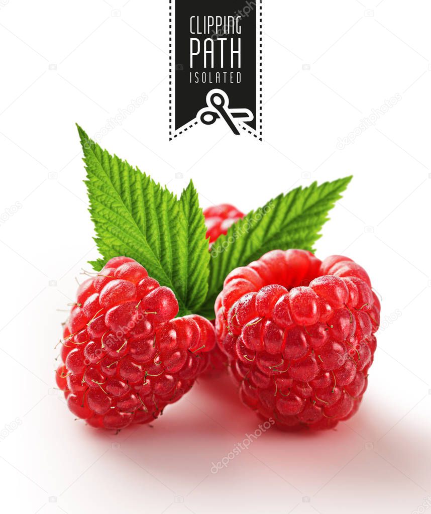 Raspberry with clipping path.