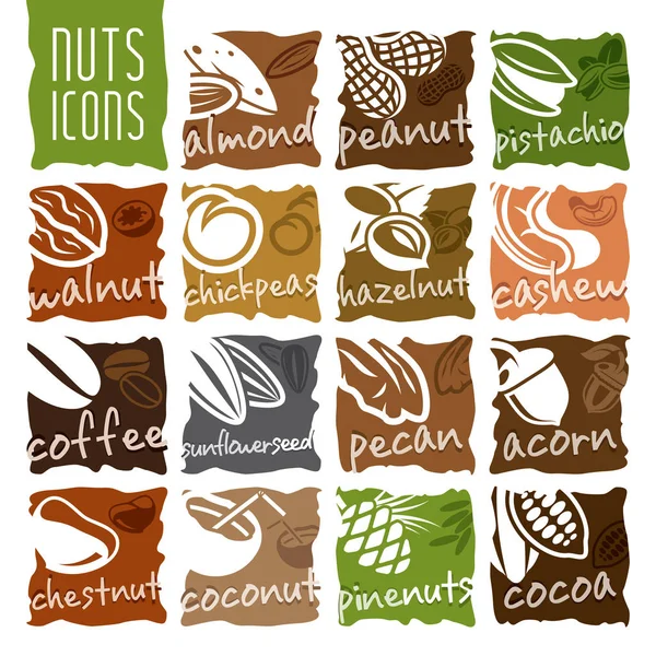 Nuts icon set — Stock Vector