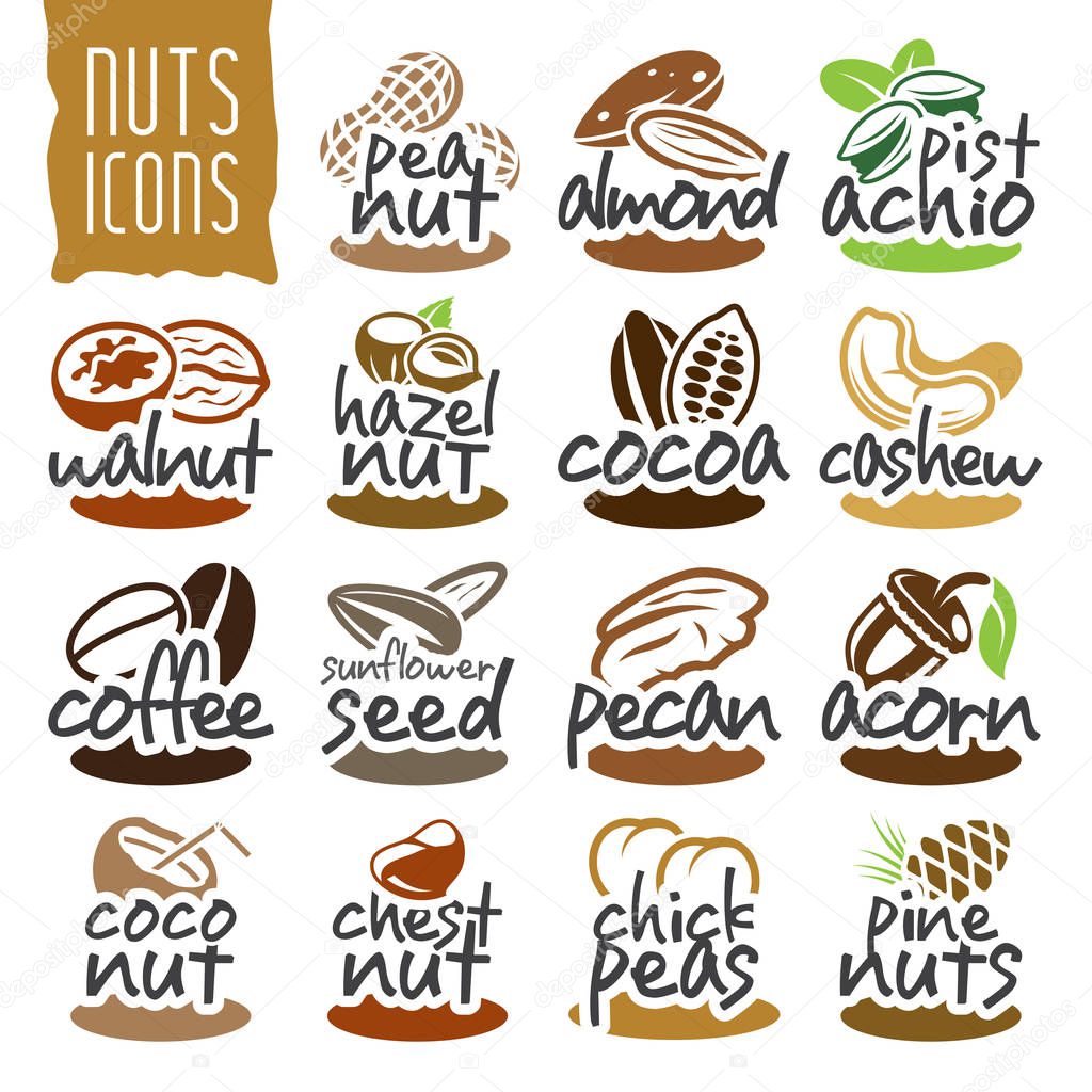 Nuts icon set