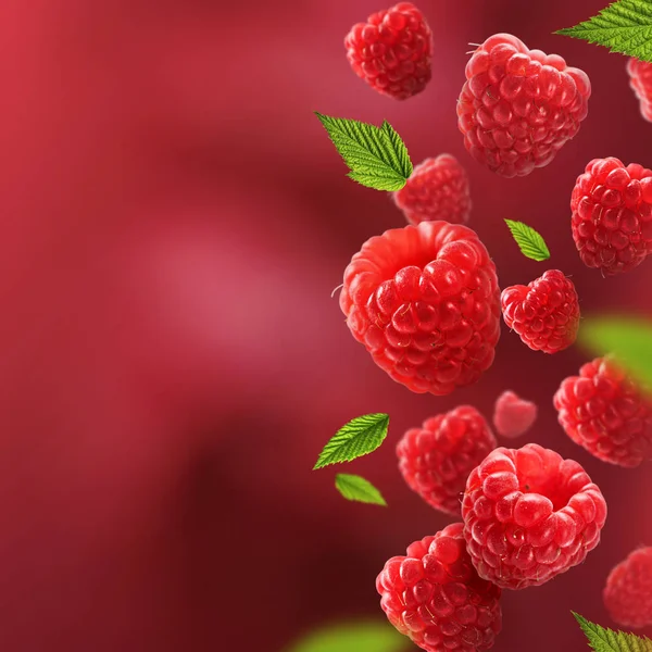 Ahududu ve havadan düşen yaprakları