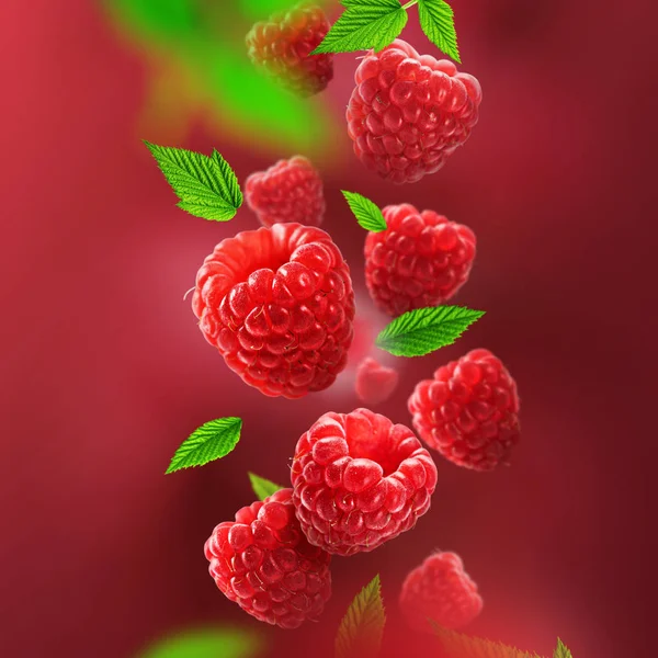 Ahududu ve havadan düşen yaprakları