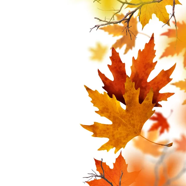 Сухие осенние листья падают с воздуха — стоковое фото