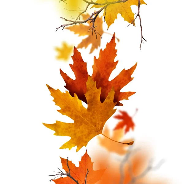 Folhas secas de outono caindo do ar — Fotografia de Stock