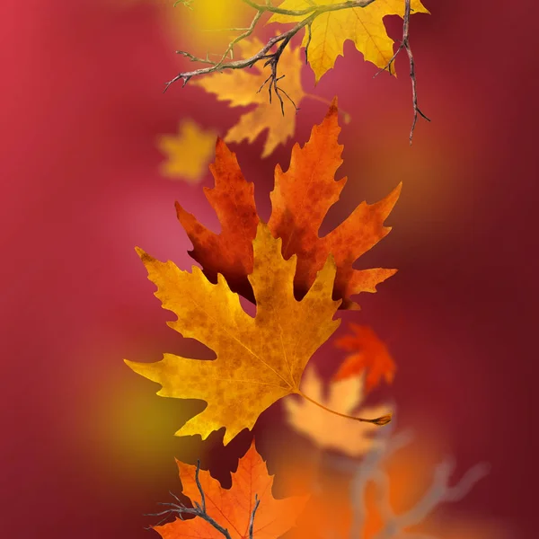 Dry autumn leaves falling from the air — Stock Photo, Image