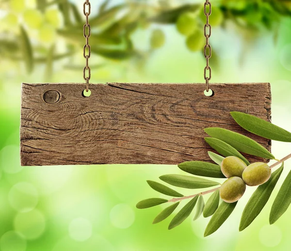 Fresh Olives Olive Tree Wooden Board — Stock Photo, Image