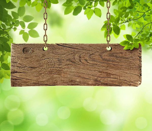 Oude Houten Plank Met Natuur — Stockfoto