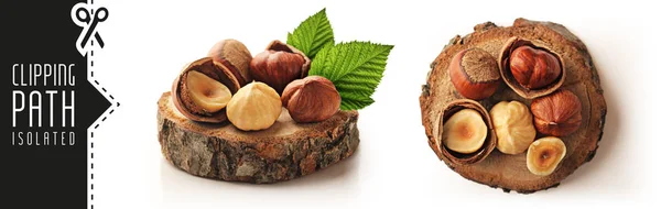 Hazelnut Set Clipping Path — Stock Photo, Image