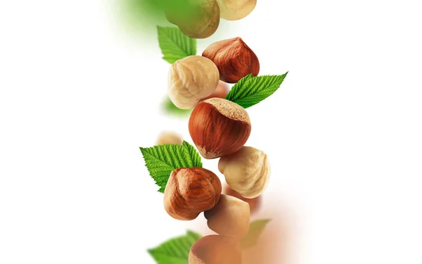 Hazelnuts Leaves Falling Air — Stock Photo, Image