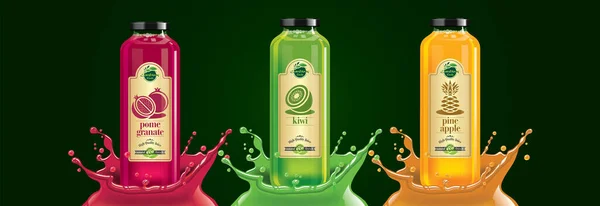 Flaskset Med Fruktjuice Granatäpple Kiwi Ananas Klistermärke — Stock vektor