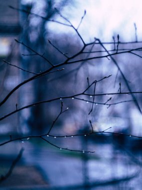 Bölüm - windows. yağmurlu bir gün fotoğraf.