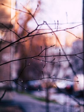 Bölüm - windows. yağmurlu bir gün fotoğraf.