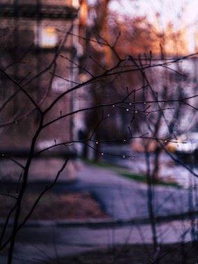 Bölüm - windows. yağmurlu bir gün fotoğraf.