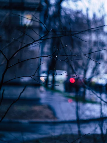 Bölüm Windows Yağmurlu Bir Gün Fotoğraf — Stok fotoğraf