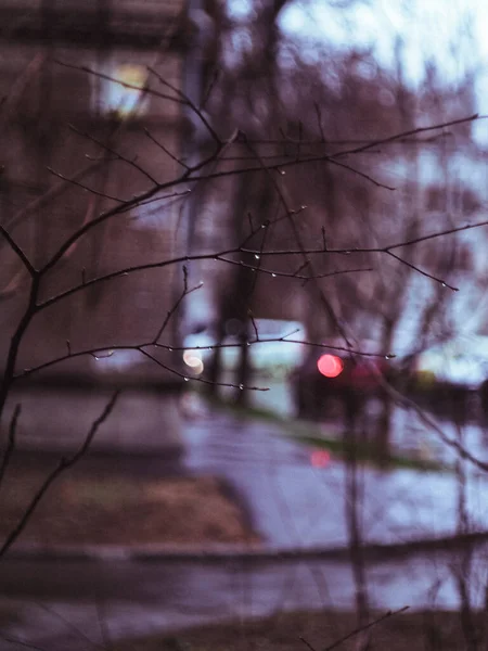 창입니다 비오는 — 스톡 사진