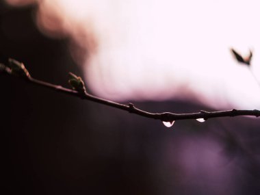 Şehirdeki su birikintilerine yağmur yağıyor