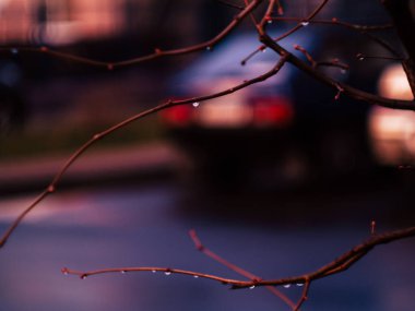 Şehirdeki su birikintilerine yağmur yağıyor