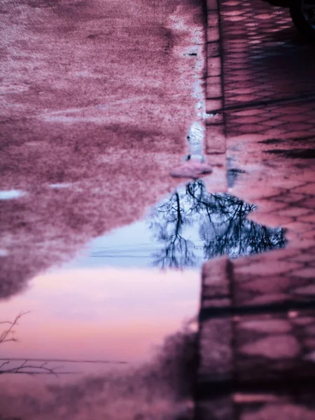 Chuva Nas Poças Cidade Cai — Fotografia de Stock