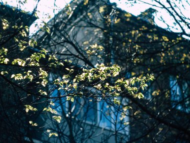 Rus avlusu ülkenin atmosferini ve romantizmini aktarıyor.