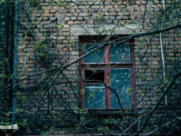 Russische Binnenplaats Die Sfeer Romantiek Van Het Land Overbrengt — Stockfoto