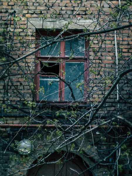 Russischer Hof Vermittelt Atmosphäre Und Romantik Des Landes — Stockfoto