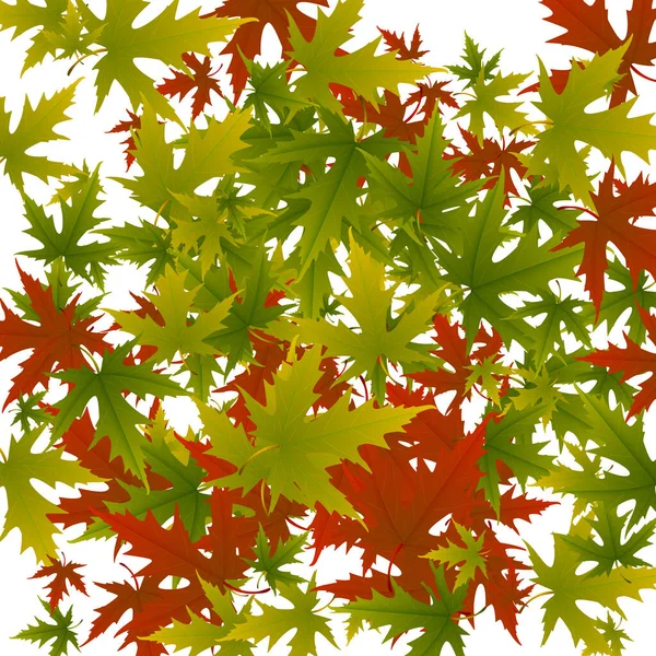 Outono de folhas de bordo em fundo branco, versão vetorial — Vetor de Stock