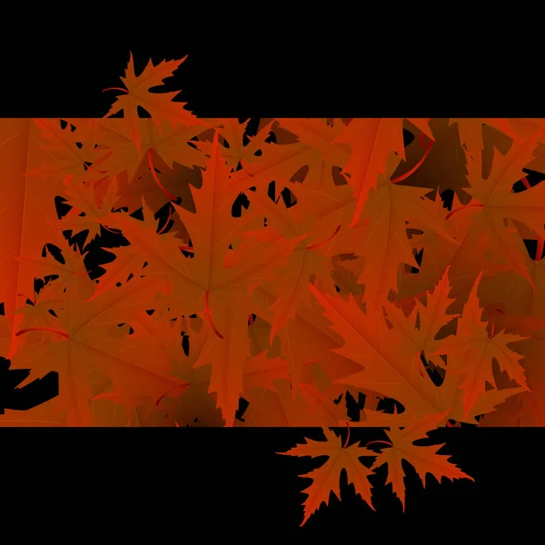 Maple leaves vector, autumn foliage on transparent background. Canadian symbol maple red dry autumn leaves. Fancy tree foliage vector october season specific background. — 스톡 벡터