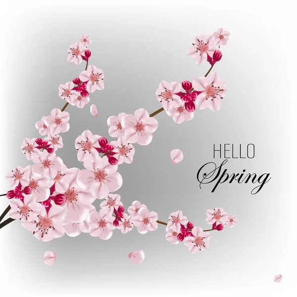 Vector background with spring cherry blossom. Sakura branch in springtime eps 10 — Stock Vector