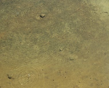 Kumsalın kum ve su arka planı.