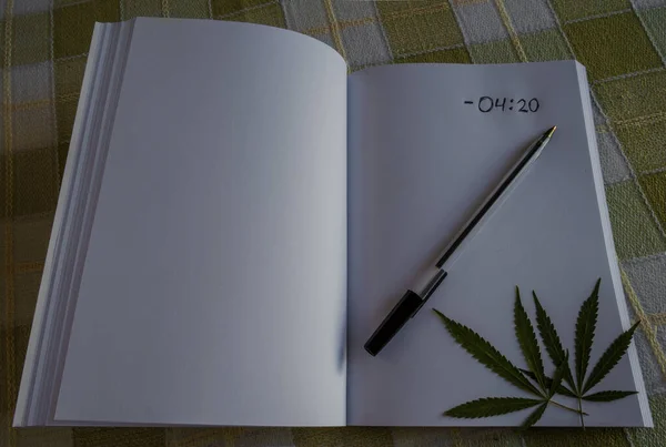 Pamiętnik z napisem "420", trochę zielonych liści marihuany i czarny długopis. Koncepcja poszukiwania inspiracji. — Zdjęcie stockowe