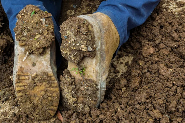 Soles of boots full of mud from a worker in a construction or vegetable garden. Concept of work in natural place.