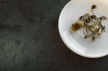 Siyah arka planda halüsinojenik mantarlı bir tabak. Doğal psikoaktif ilaç, düzenlemek için boş alanı olan psikedelik lapa..