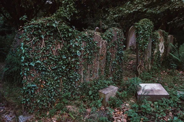Ciemny Cmentarz Lesie Pełen Opuszczonych Grobowców Pokrytych Roślinami Przerażający Krajobraz — Zdjęcie stockowe