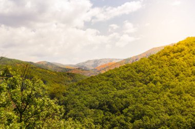 Extremadura, İspanya 'daki Jerte Vadisi manzarası. Güneşli bir günde, bitki örtüsüyle dolu güzel dağların manzarası..