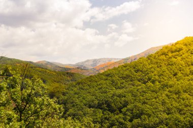 Landscape of Valley of Jerte in Extremadura, Spain. Views of the beautiful mountains full of vegetation during a sunny day with a lot of sunlight. clipart