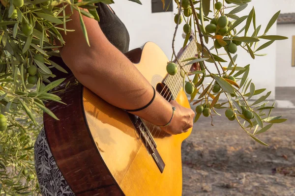 Mujer Joven Tocando Una Guitarra Española Clásica Entre Ramas Olivo — Foto de Stock