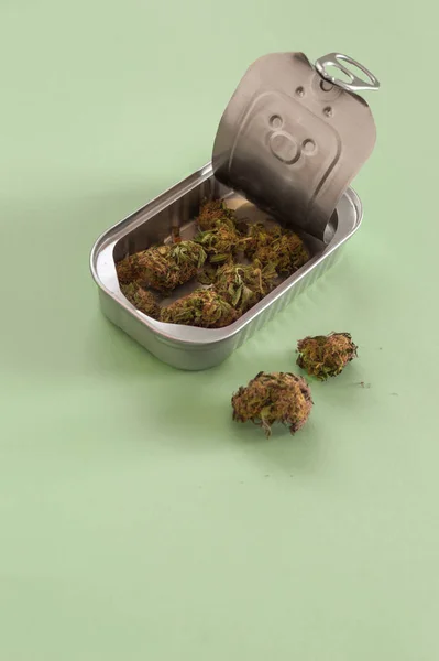 Cínová Plechovka Vysoce Kvalitními Marihuanovými Pupeny Izolovanými Zeleném Pozadí Kopírovacím — Stock fotografie