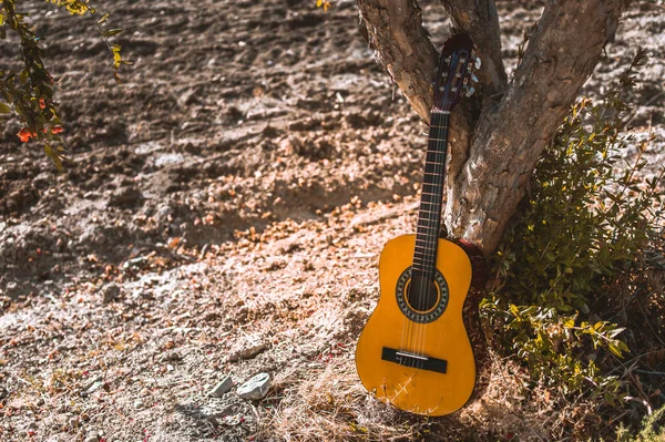 Guitarra Clásica Descansando Árbol Campo Durante Una Tarde Soleada Concepto —  Fotos de Stock