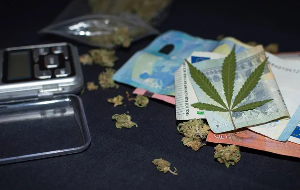Marihuana veya uyuşturucu sat veya satın al: naylon torba üzerinde marihuana yaprağı olan bir sürü esrar tomurcuğu, ağırlık ve avro banknotları.
