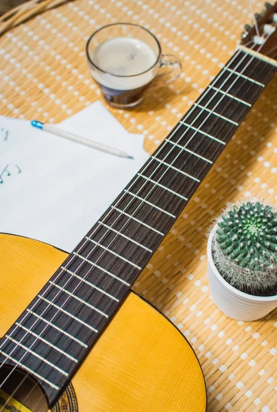 Hermosa Vista Superior Una Guitarra Clásica Portátil Música Café Cactus —  Fotos de Stock