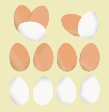 Farklı renkte yumurtalar. Sarı arka planda izole edilmiş vektör tasarımı. Yiyecek ya da malzeme çizimi.