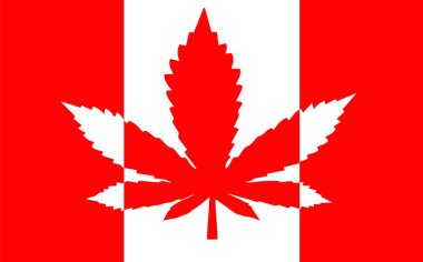 Kırmızı kenevir yaprağıyla Kanada bayrağı tasarımı. Kanada 'da marihuananın yasallaştırılmasının orijinal kavramı. Marihuana kullanımına izin verildi.