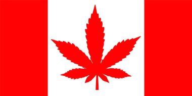 Kırmızı kenevir yaprağıyla Kanada bayrağı tasarımı. Kanada 'da marihuananın yasallaştırılması kavramı. Kırmızı ve beyaz vektör veya illüstrasyon.