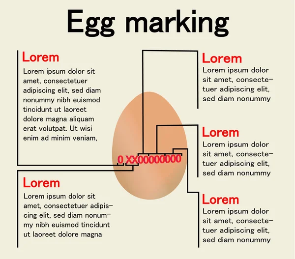 鸡蛋标记 表示或表示鸡蛋红色代码含义的信息 关于粮食生产和原产地的条例 — 图库矢量图片
