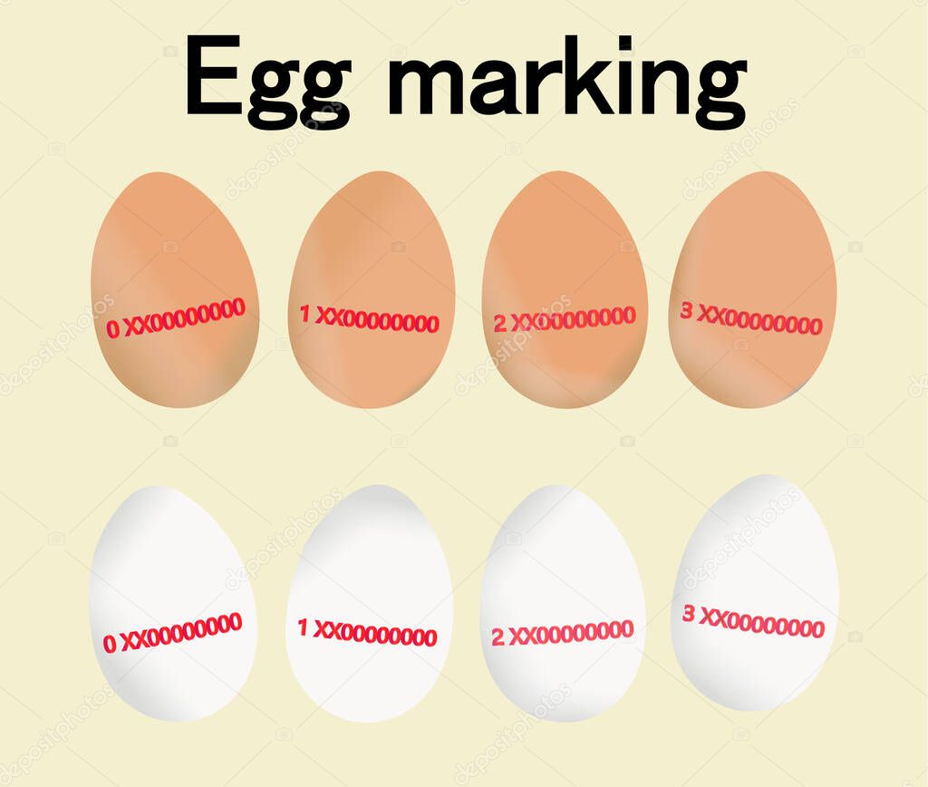 Egg Marking, set with the different class of egg codes. Red code or label about regulations on production and origin of food. Isolated vector.