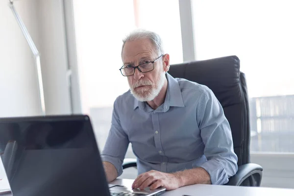 Portret van senior zakenman die op laptop werkt — Stockfoto