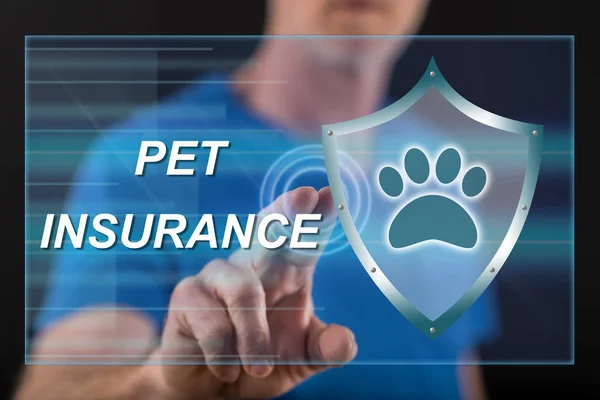 Man touching a pet insurance concept on a touch screen