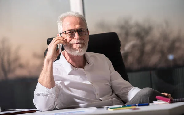 Retrato de un hombre de negocios mayor barbudo hablando por teléfono móvil , — Foto de Stock