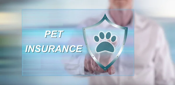 Man touching a pet insurance concept on a touch screen